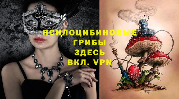 стафф Кодинск