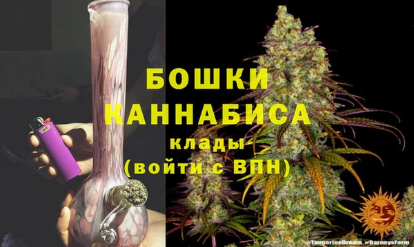 стафф Кодинск