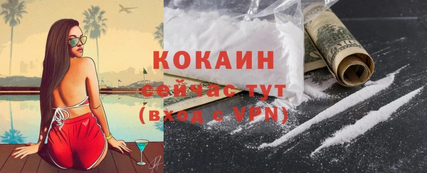 стафф Кодинск