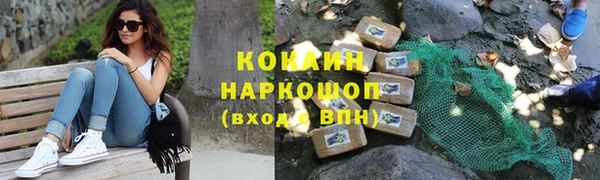 стафф Кодинск