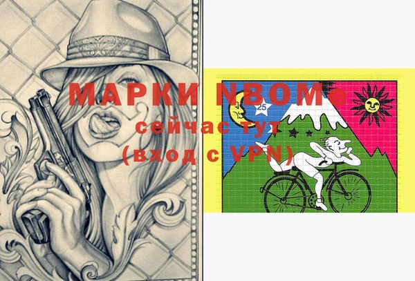 стафф Кодинск