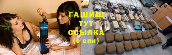 стафф Кодинск