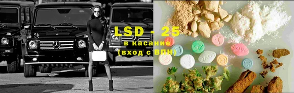 стафф Кодинск