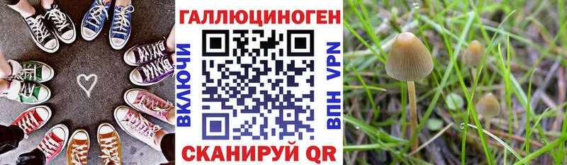 Купить закладки  Верхоянск  Псилоцибиновые грибы мицелий 